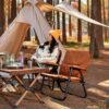 Foldable chair brown - Image 4